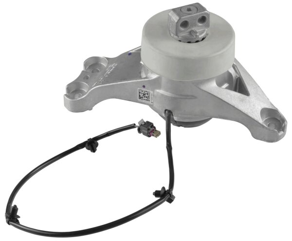 LEMFÖRDER 45732 01 Lagerung, Motor