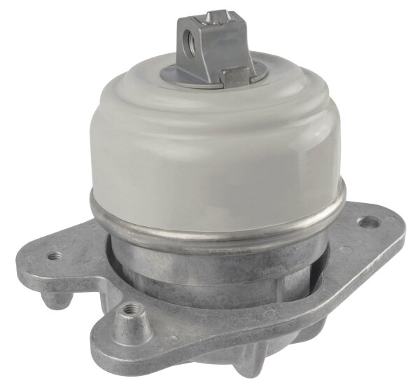 LEMFÖRDER 45954 01 Lagerung, Motor