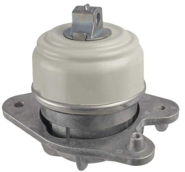 LEMFÖRDER 45955 01 Lagerung, Motor
