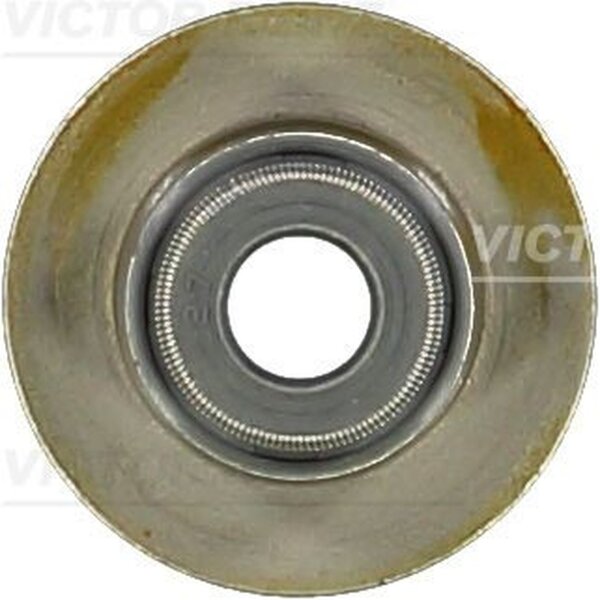 VICTOR REINZ 70-10130-00 Dichtring, Ventilschaft
