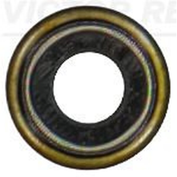 VICTOR REINZ 70-36206-00 Dichtring, Ventilschaft