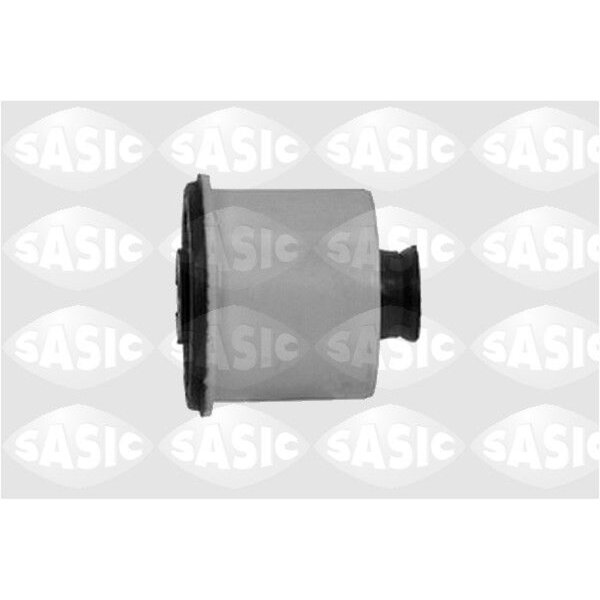 SASIC 1315C15 Lagerung, Achskörper