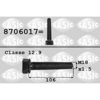 SASIC 8706017 Riemenscheibenschraube