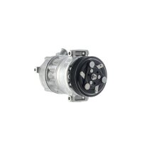 MAHLE ACP 490 000P Kompressor, Klimaanlage