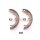 ASHIKA 55-02-252 Bremsbackensatz