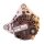 ASHIKA 002-215575 Generator