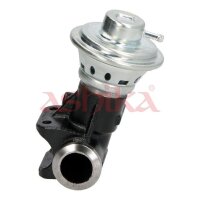 ASHIKA 150-00-0207 AGR-Ventil
