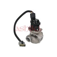 ASHIKA 150-00-0306 AGR-Ventil