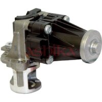 ASHIKA 150-00-0308 AGR-Ventil