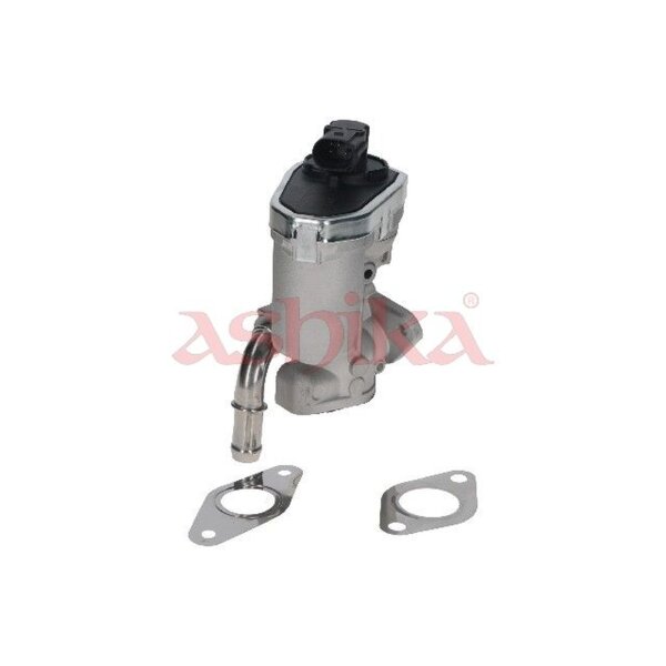 ASHIKA 150-00-0313 AGR-Ventil