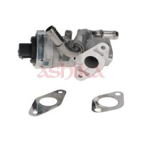 ASHIKA 150-00-0313 AGR-Ventil