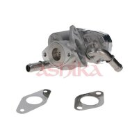 ASHIKA 150-00-0313 AGR-Ventil