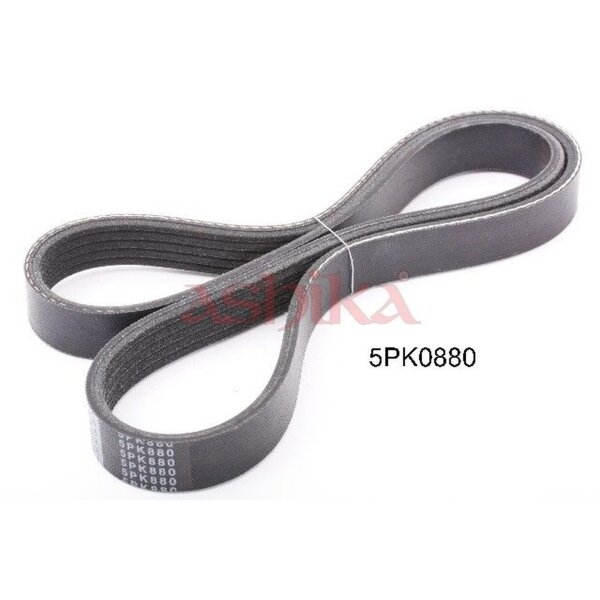 ASHIKA 112-5PK880 Keilrippenriemen