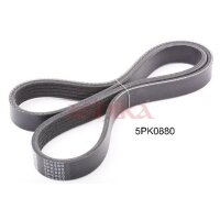 ASHIKA 112-5PK880 Keilrippenriemen