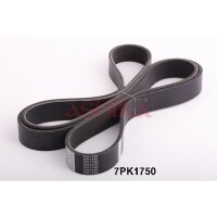 ASHIKA 112-7PK1750 Keilrippenriemen