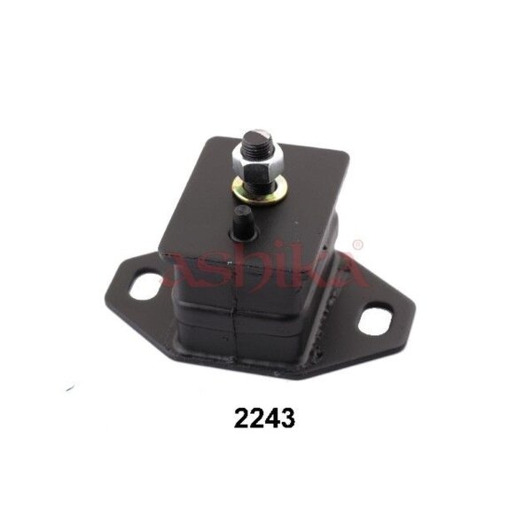 ASHIKA GOM-2243 Lagerung, Motor