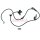 ASHIKA 151-03-325 Sensor, Raddrehzahl