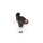 ASHIKA 152-04-400 Sensor, Nockenwellenposition
