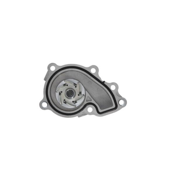 VALEO 529532 Wasserpumpe, Motorkühlung