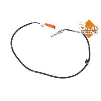 NRF 707198 Sensor, Abgastemperatur