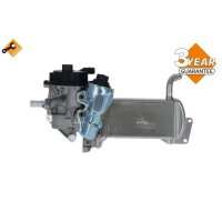 NRF 48201 AGR-Ventil