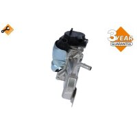 NRF 48201 AGR-Ventil