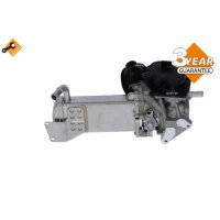 NRF 48201 AGR-Ventil