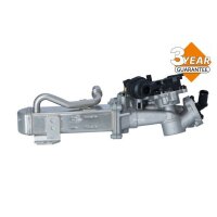NRF 48206 AGR-Ventil