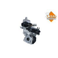 NRF 48206 AGR-Ventil