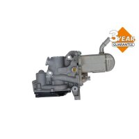 NRF 48207 AGR-Ventil