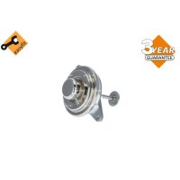 NRF 48383 AGR-Ventil