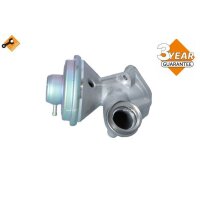 NRF 48391 AGR-Ventil