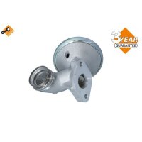 NRF 48391 AGR-Ventil