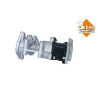 NRF 48602 AGR-Ventil