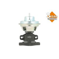 NRF 48729 AGR-Ventil