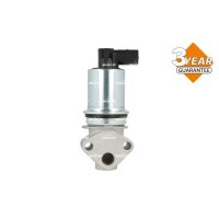 NRF 48744 AGR-Ventil
