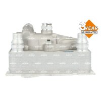 NRF 310065 Ölkühler, Automatikgetriebe