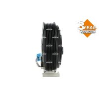 NRF 380150 Magnetkupplung, Klimakompressor