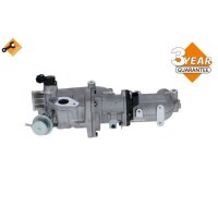 NRF 48373 AGR-Ventil