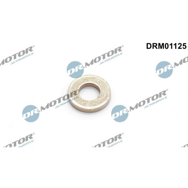Dr.Motor Automotive DRM01125 Wärmeschutzscheibe, Einspritzanlage
