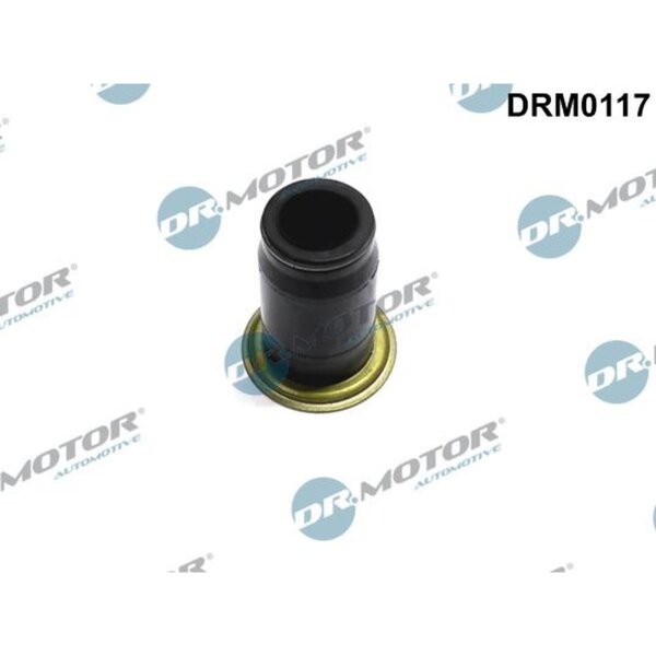 Dr.Motor Automotive DRM0117 Dichtung, Düsenhalter