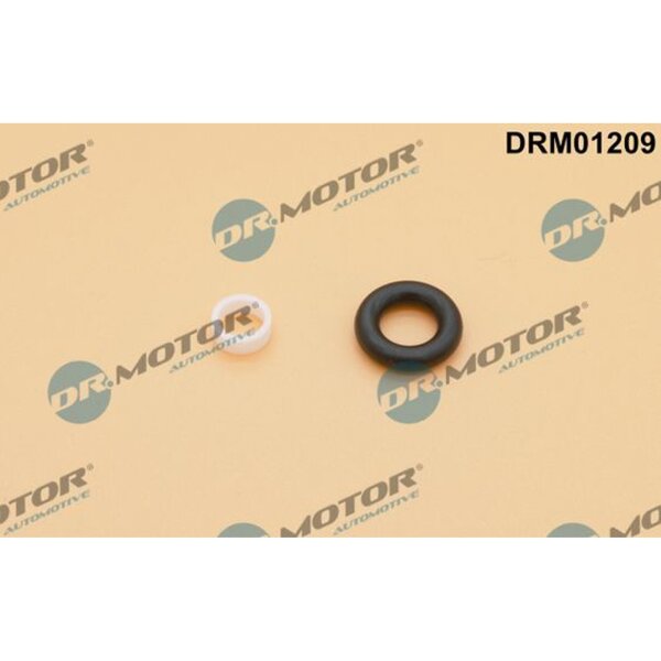 Dr.Motor Automotive DRM01209 Dichtungssatz, Einspritzdüse