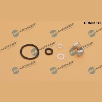 Dr.Motor Automotive DRM01312 Reparatursatz,...