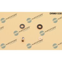 Dr.Motor Automotive DRM01338 Dichtungssatz,...