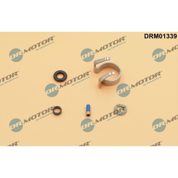 Dr.Motor Automotive DRM01339 Reparatursatz, Einspritzdüse
