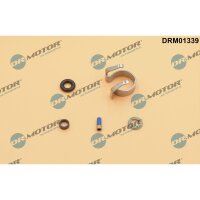 Dr.Motor Automotive DRM01339 Reparatursatz,...