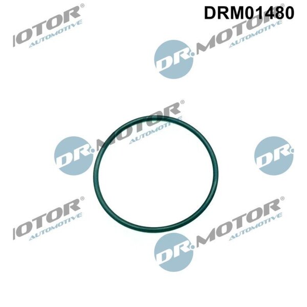Dr.Motor Automotive DRM01480 Dichtung, Einspritzpumpe