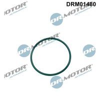 Dr.Motor Automotive DRM01480 Dichtung, Einspritzpumpe