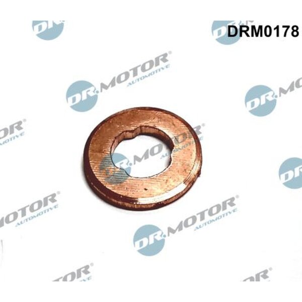 Dr.Motor Automotive DRM0178 Wärmeschutzscheibe, Einspritzanlage