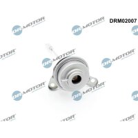Dr.Motor Automotive DRM02007 Stellelement, Turbolader